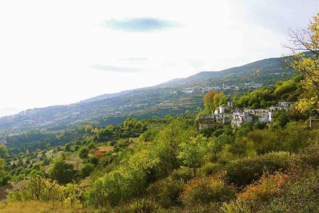 Villa Casa Carmela, Rural House With Spectacular Views, In An Exquisite Area Atalbeitar Exterior foto