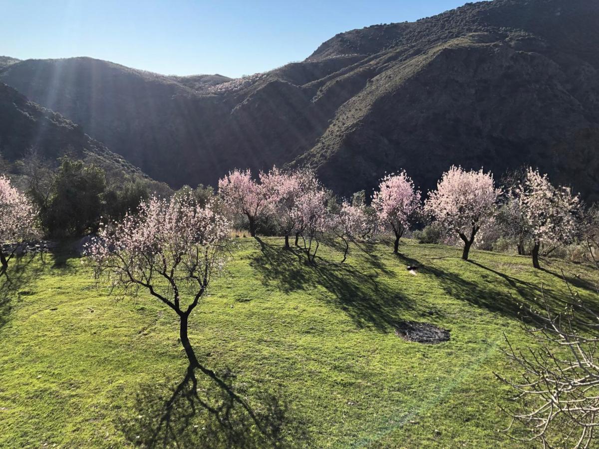 Villa Casa Carmela, Rural House With Spectacular Views, In An Exquisite Area Atalbeitar Exterior foto