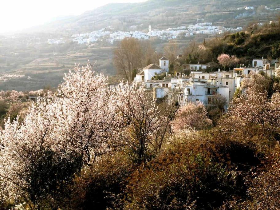 Villa Casa Carmela, Rural House With Spectacular Views, In An Exquisite Area Atalbeitar Exterior foto