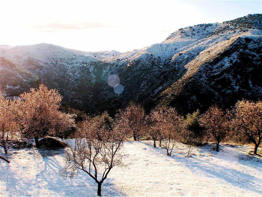 Villa Casa Carmela, Rural House With Spectacular Views, In An Exquisite Area Atalbeitar Exterior foto