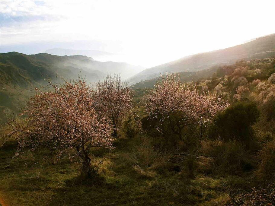 Villa Casa Carmela, Rural House With Spectacular Views, In An Exquisite Area Atalbeitar Exterior foto